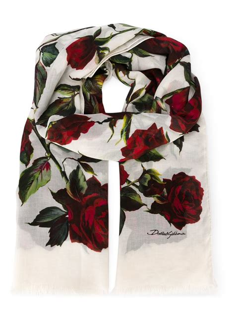dolce gabbana rose print scarf